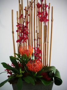 Modern Series With Protea