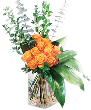 Modern Rose Bouquet Floral Arrangement in Hollister, CA - Expressions Floral