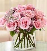 Modern Roses - 1 DZ Pink All Around