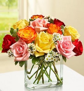 Modern Roses - One Dozen Floral Arrangement