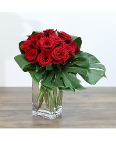 Modern Roses (12) 