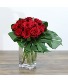 Modern Roses (12) 