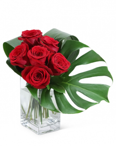 Category Image