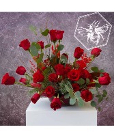 Modern Roses Designers Choice