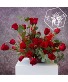 Modern Roses Designers Choice