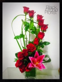 Modern Roses Roses