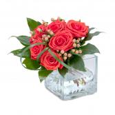 Modern Six Arrangement