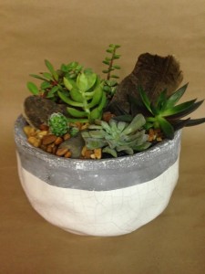 Modern Succulent Dish Garden