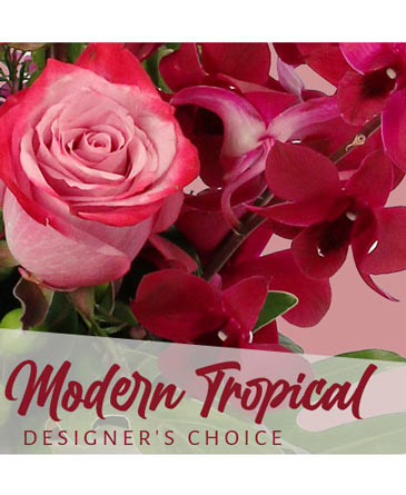 Modern Tropical Beauty Designer's Choice in Roanoke, VA | Flowers By Eddie