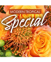 Modern Tropical Special Designer's Choice