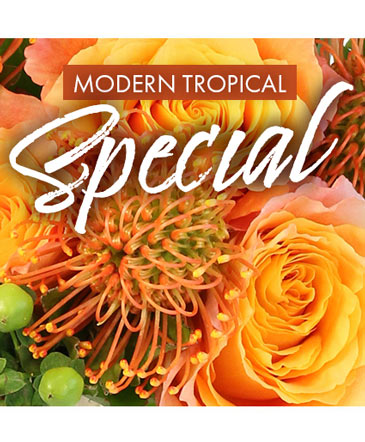 Modern Tropical Special Designer's Choice in Monticello, IN | Roberts Floral & Gifts