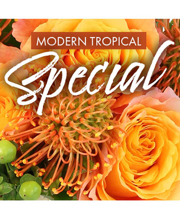 Modern Tropical Special Designer's Choice in Burton, MI | FENNER'S FLORAL & DESIGN COMPANY Modern Tropical Special Designer's Choice in Burton, MI | FENNER'S FLORAL & DESIGN COMPANY