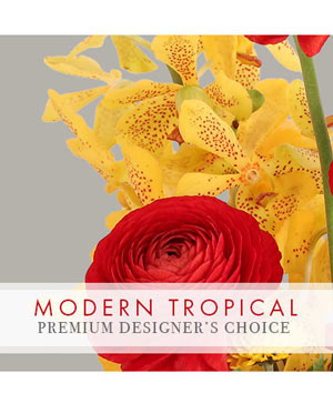 Modern Tropical Stunner Premium Designer's Choice
