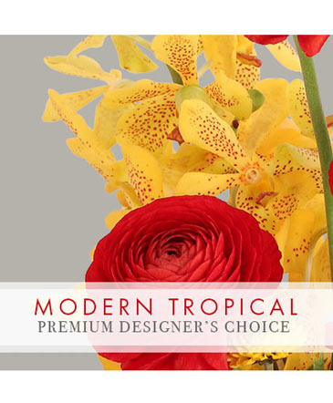 Modern Tropical Stunner Premium Designer's Choice in Laguna Niguel, CA | Reher's Fine Florals And Gifts