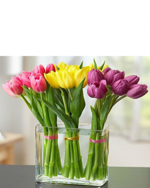 Modern Tulips Arrangement