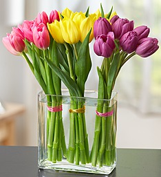 Modern Tulips  Modern Twist to a Traditional Favorite!