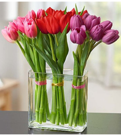 Modern Tulips for Your Valentine Arrangement
