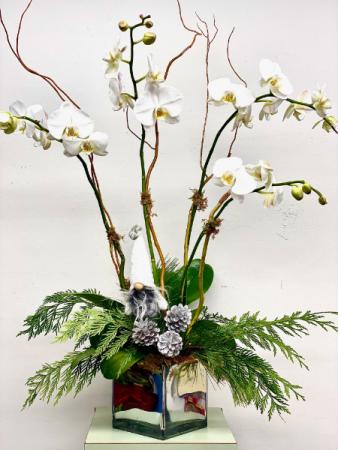 Modern Winter Orchid Floral Arrangement