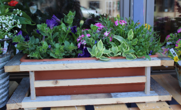 Modern Wood Frame Deck Planter Colorful Mixed Annuals