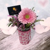 Moes Coffee and Flowers Mixed Arrangement 