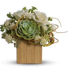 Mojave mixed flowers and succulents