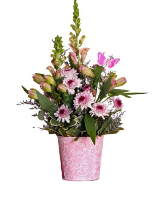 Momma Arrangement 