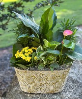 Momma's Blooming Garden Dbl. Bloom Oval Tin