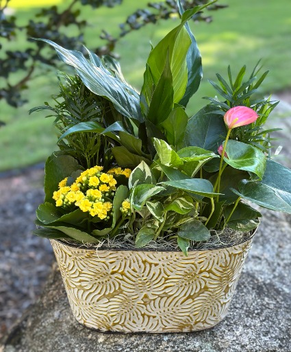 Momma's Blooming Garden Dbl. Bloom Oval Tin