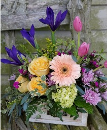Momma's garden Drawer arrangement 