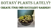 Succulent Garden Class 