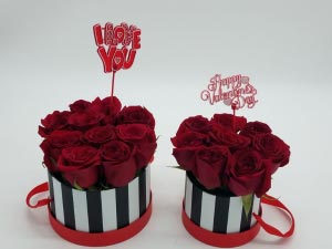 Mommy-Daugther Bucket Valentines' Arrangement in Miami, FL | FLOWERTOPIA Mommy-Daugther Bucket Valentines' Arrangement in Miami, FL | FLOWERTOPIA