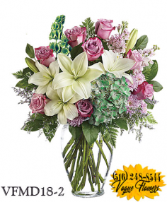 Category Image
