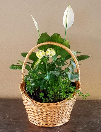 Mom's Basket Gardens Just Made For You