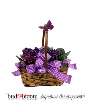 Mom's Butterflies & Violets Basket Bud & Bloom Signature Arrangement