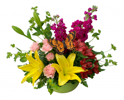 Butterfly Garden Arrangement