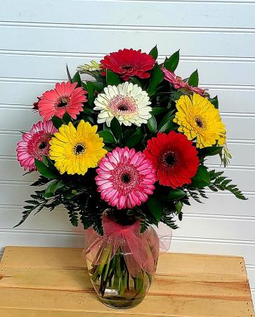 Mom's Colorful Gerbera Daisies Exclusively at Mom & Pops in Ventura, CA | Mom And Pop Flower Shop