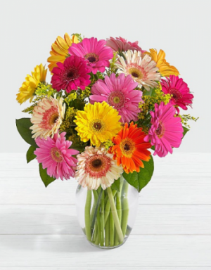 MOM'S COLORFUL GERBERA DAISIES Exclusively at Mom & Pops in Oxnard, CA | Mom and Pop Flower Shop MOM'S COLORFUL GERBERA DAISIES Exclusively at Mom & Pops in Oxnard, CA | Mom and Pop Flower Shop
