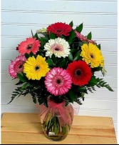 MOM'S COLORFUL GERBERA DAISIES EXCLUSIVELY AT MOM & POPS