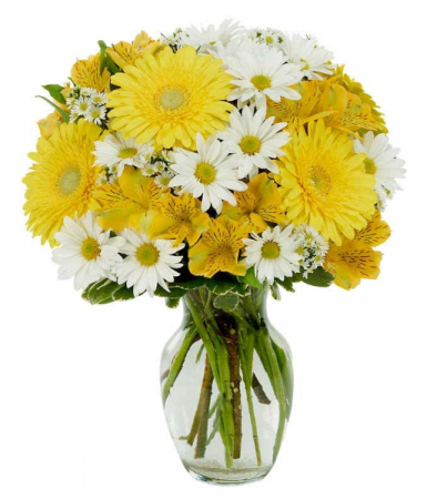 Mom's Daisy's EXCLUSIVELY AT MOM & POPS