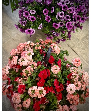 Mom's Garden Hanging Basket