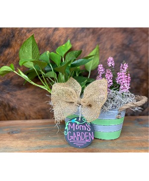 Mom's Garden PLANTER