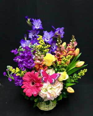Vibrant Garden Spring in Midland, TX | Becky's Flowers Vibrant Garden Spring in Midland, TX | Becky's Flowers