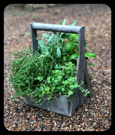 Mom's Herb Garden