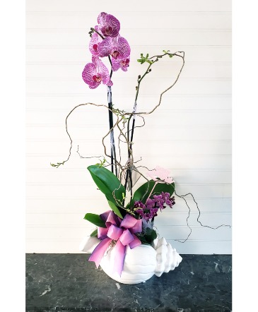 MOM'S ORCHID GARDEN IN A SHELL Exclusively at Mom & Pops in Oxnard, CA | Mom and Pop Flower Shop