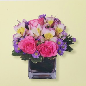 Mom's Pretty As You Please Special! Exclusively at Mom & Pops