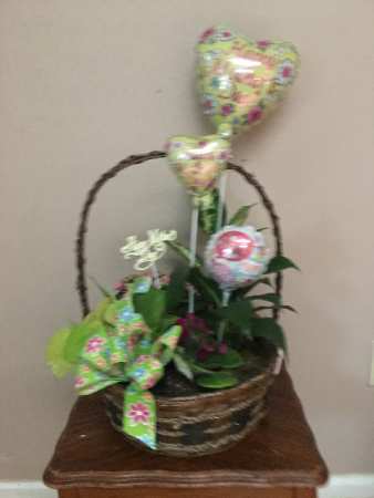 moms pretty little garden basket with asst green plants and blooming with asst mini mylars  and mothers day pic