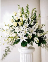 Monarch In White Arrangement