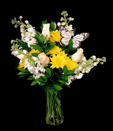 Monarch Yellow and White Design with Butterfly