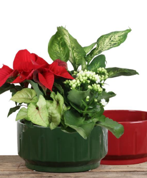 Monet Ceramic Planter 