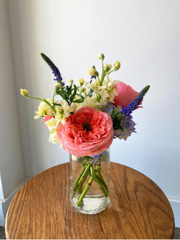 Money Doesn't Grow on Trees-Things Moms Say Vol.2 Mini in Owensboro, KY | Ivy Trellis Floral Money Doesn't Grow on Trees-Things Moms Say Vol.2 Mini in Owensboro, KY | Ivy Trellis Floral
